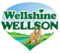 Wellshine Wellson logo, previous employer of Carlo Aguinaldo